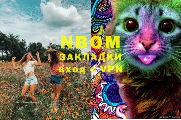 спиды Коряжма