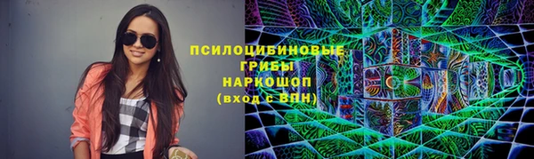 метадон Алексин
