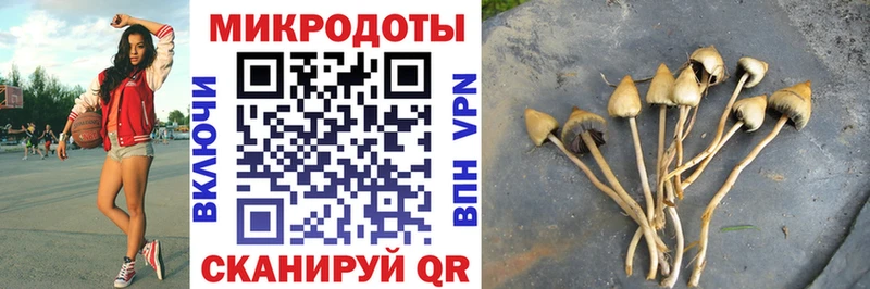Галлюциногенные грибы мухоморы купить закладку Томск